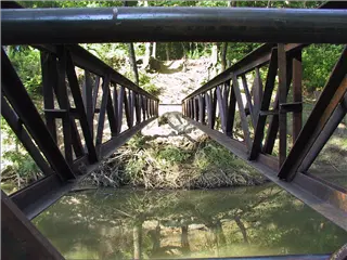 small_010711 misc bridgeIMG_0394.webp